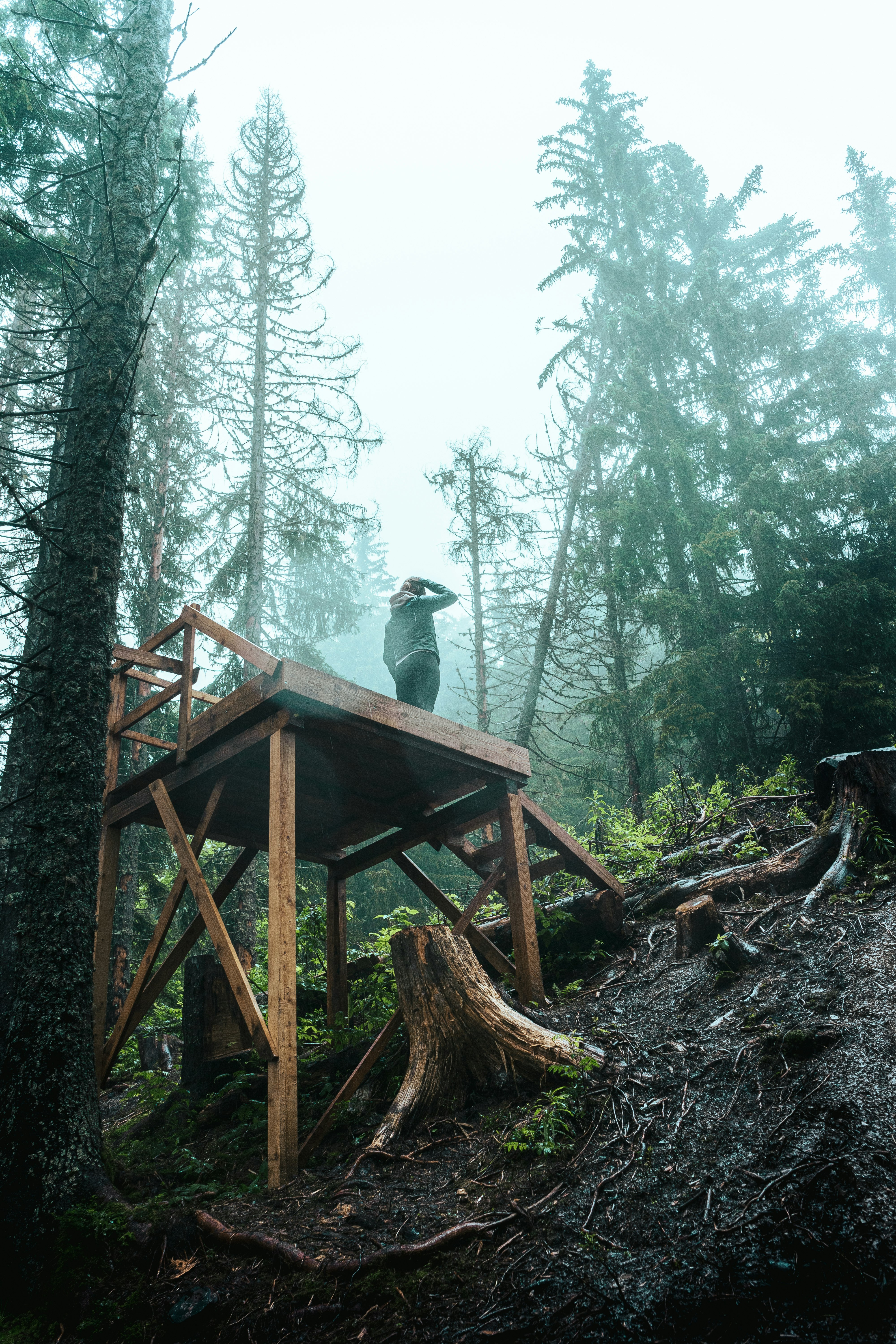 brown wooden ladder on forest during daytime